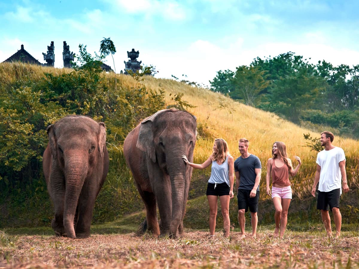 Guided Ethical Elephant Care Experience
