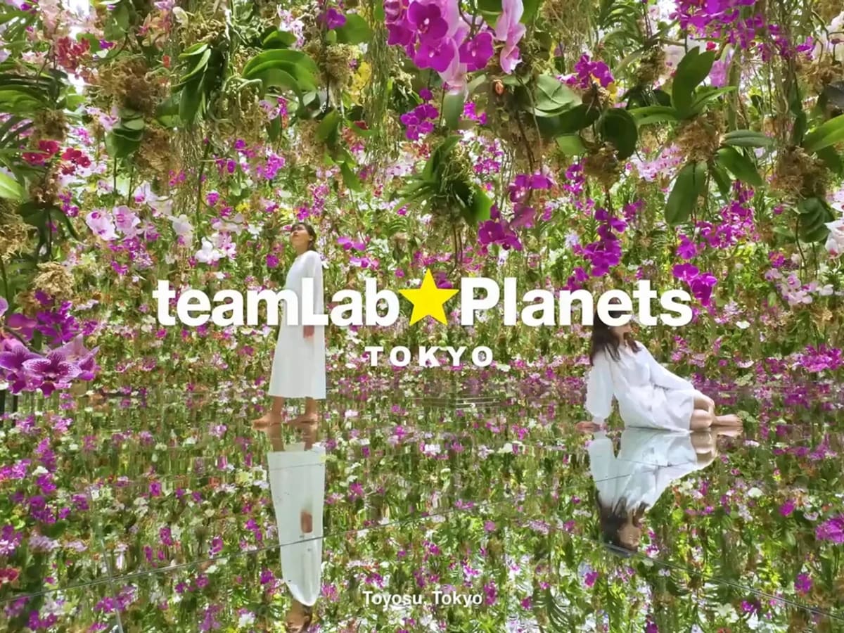 teamLab Planets TOKYO Ticket