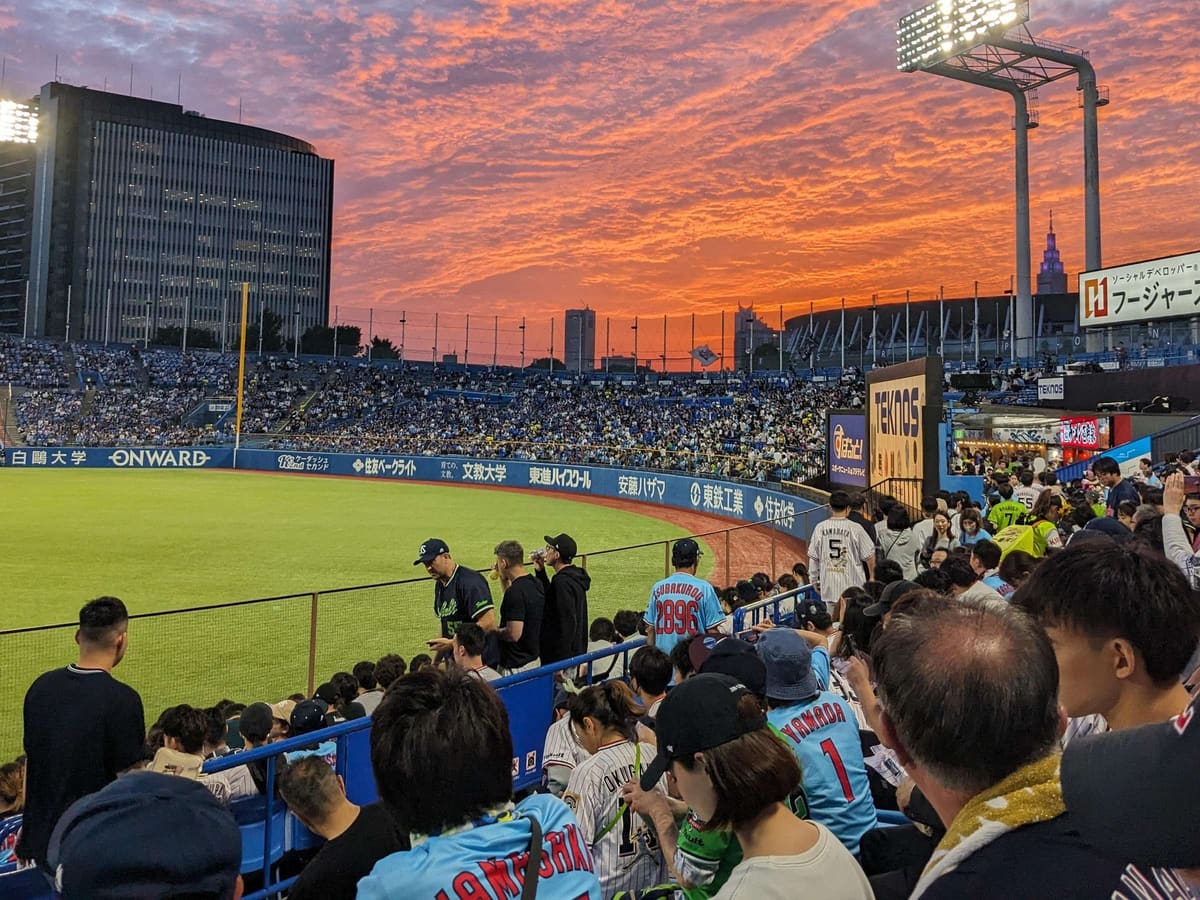 Japan Baseball Tour-Catch a Live Game in Tokyo with a Local