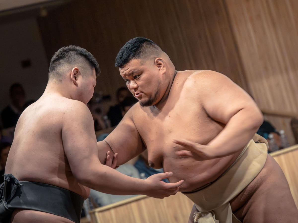 Shinjuku Sumo Show & Experience with Photo